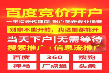 揭秘成功的关键词竞价排名背后的策略与执行