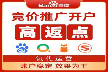 成功案例：一家SEM外包公司的成长与蜕变